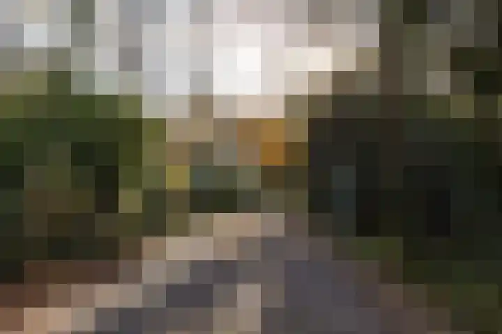 Overste den Oudenlaan 13 Aerdenhout thumbnail 25