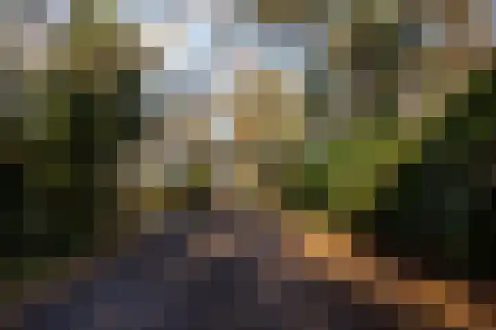 Overste den Oudenlaan 13 Aerdenhout thumbnail 26