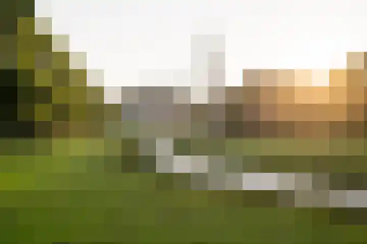 Overste den Oudenlaan 13 Aerdenhout thumbnail 27
