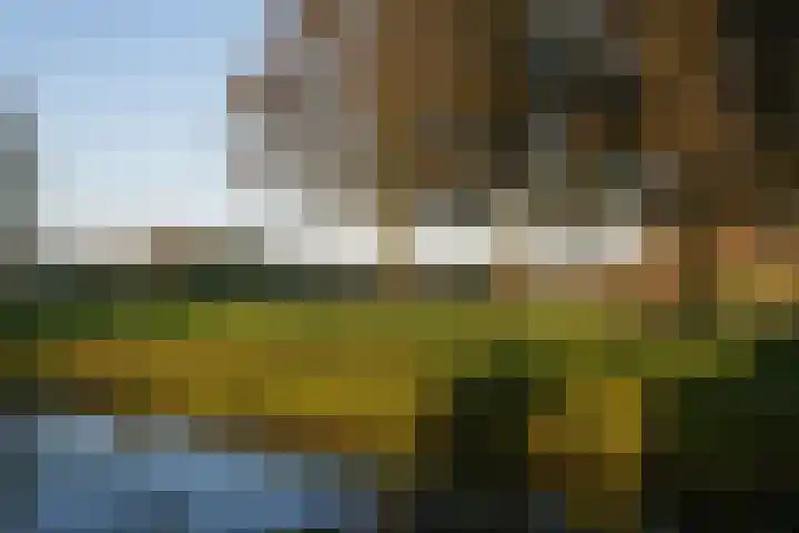 Overste den Oudenlaan 13 Aerdenhout thumbnail 28