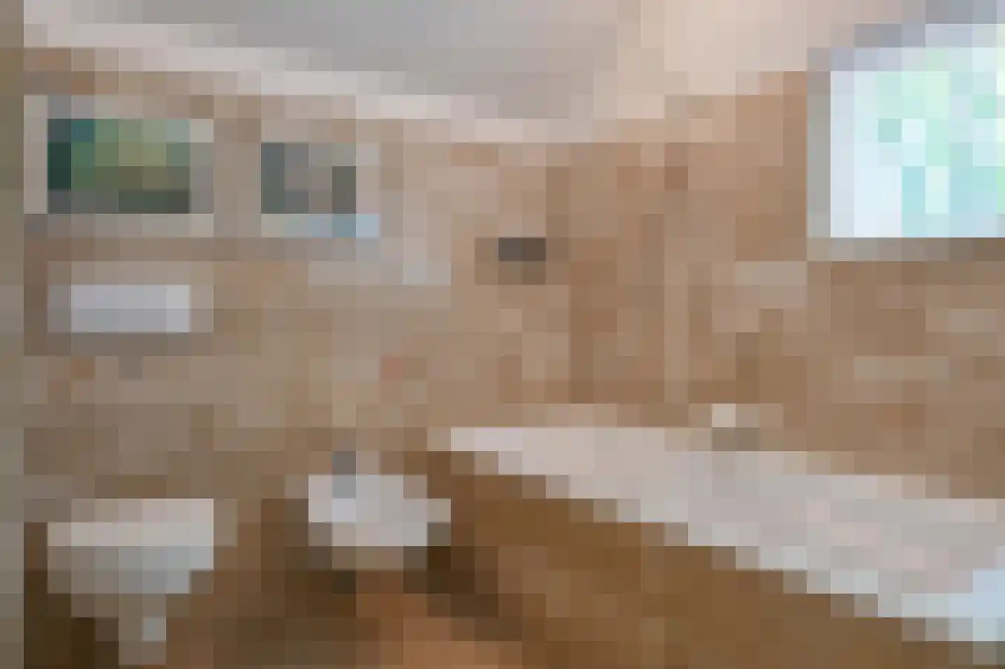 Overste den Oudenlaan 7 Aerdenhout thumbnail 17