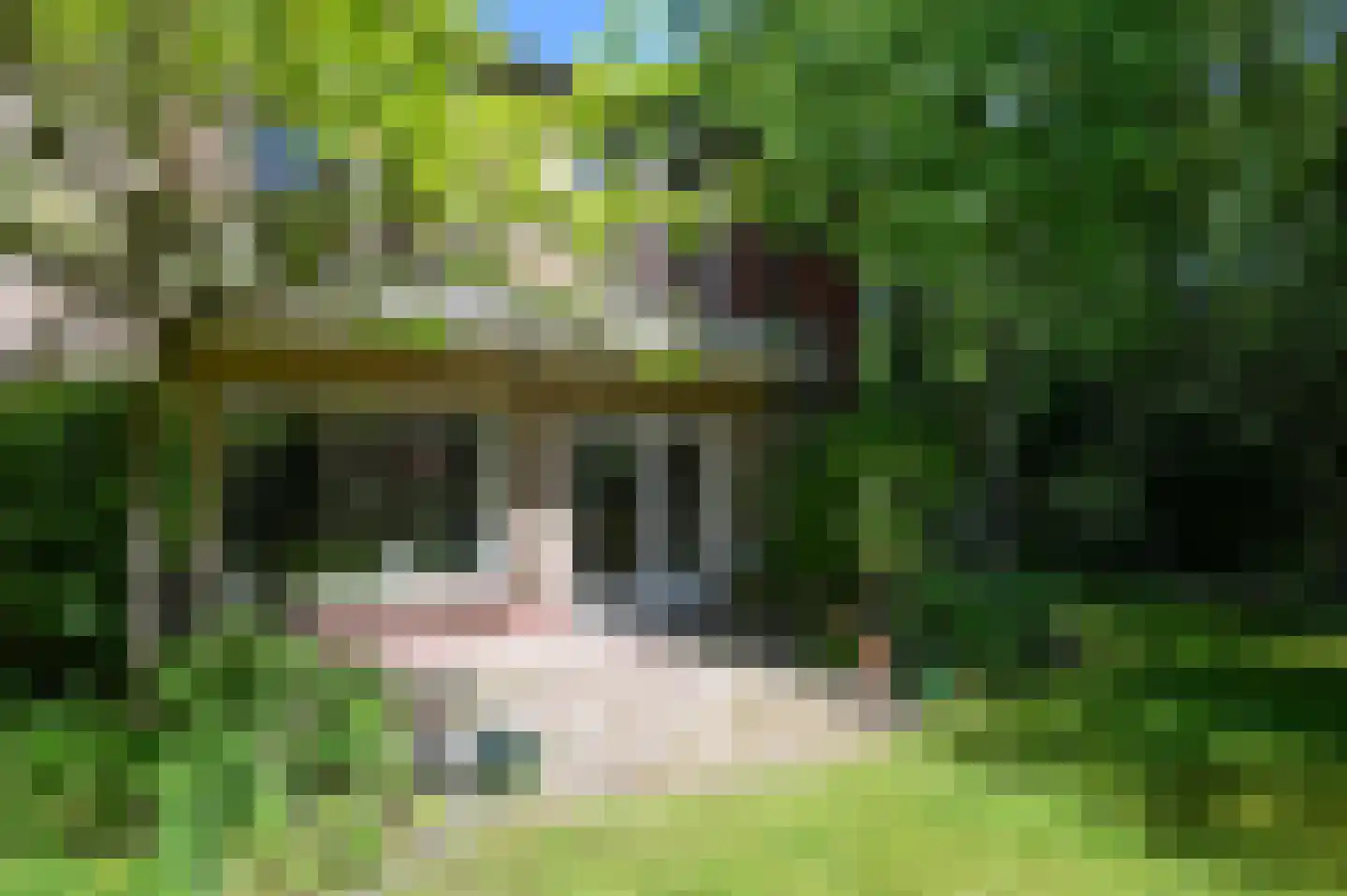 Overste den Oudenlaan 7 Aerdenhout thumbnail 27