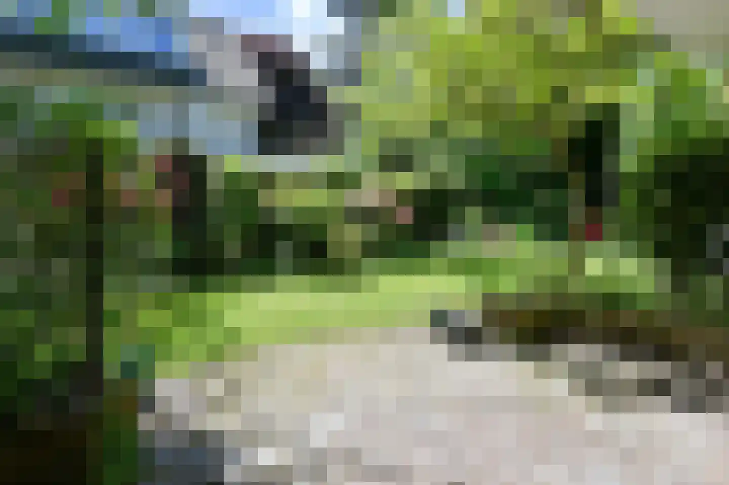 Overste den Oudenlaan 7 Aerdenhout thumbnail 28