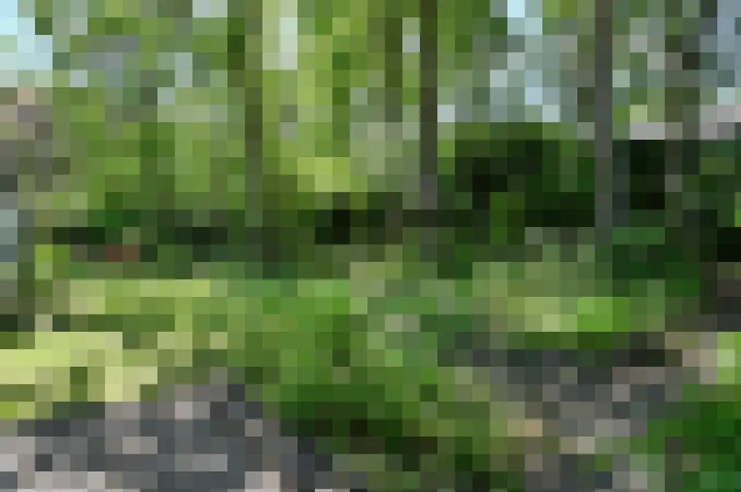 Overste den Oudenlaan 7 Aerdenhout thumbnail 29