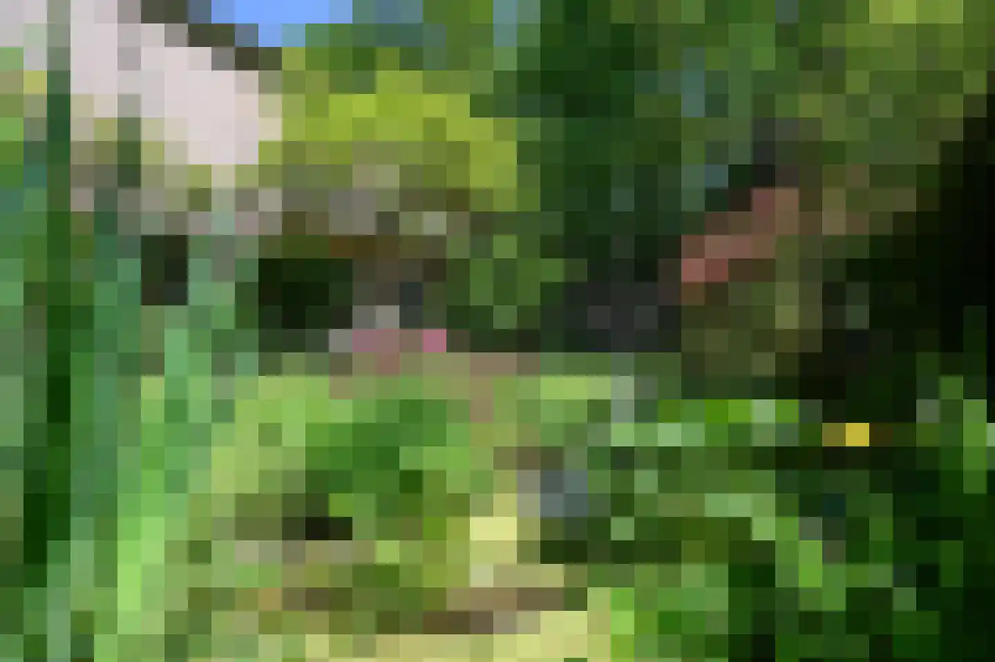 Overste den Oudenlaan 7 Aerdenhout thumbnail 30