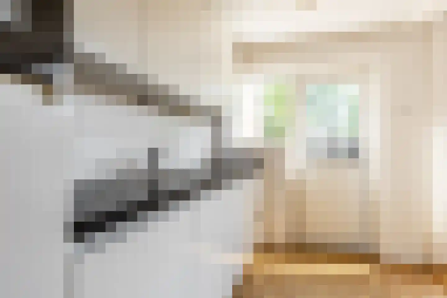 Overste den Oudenstraat 17 Schoonhoven thumbnail 12