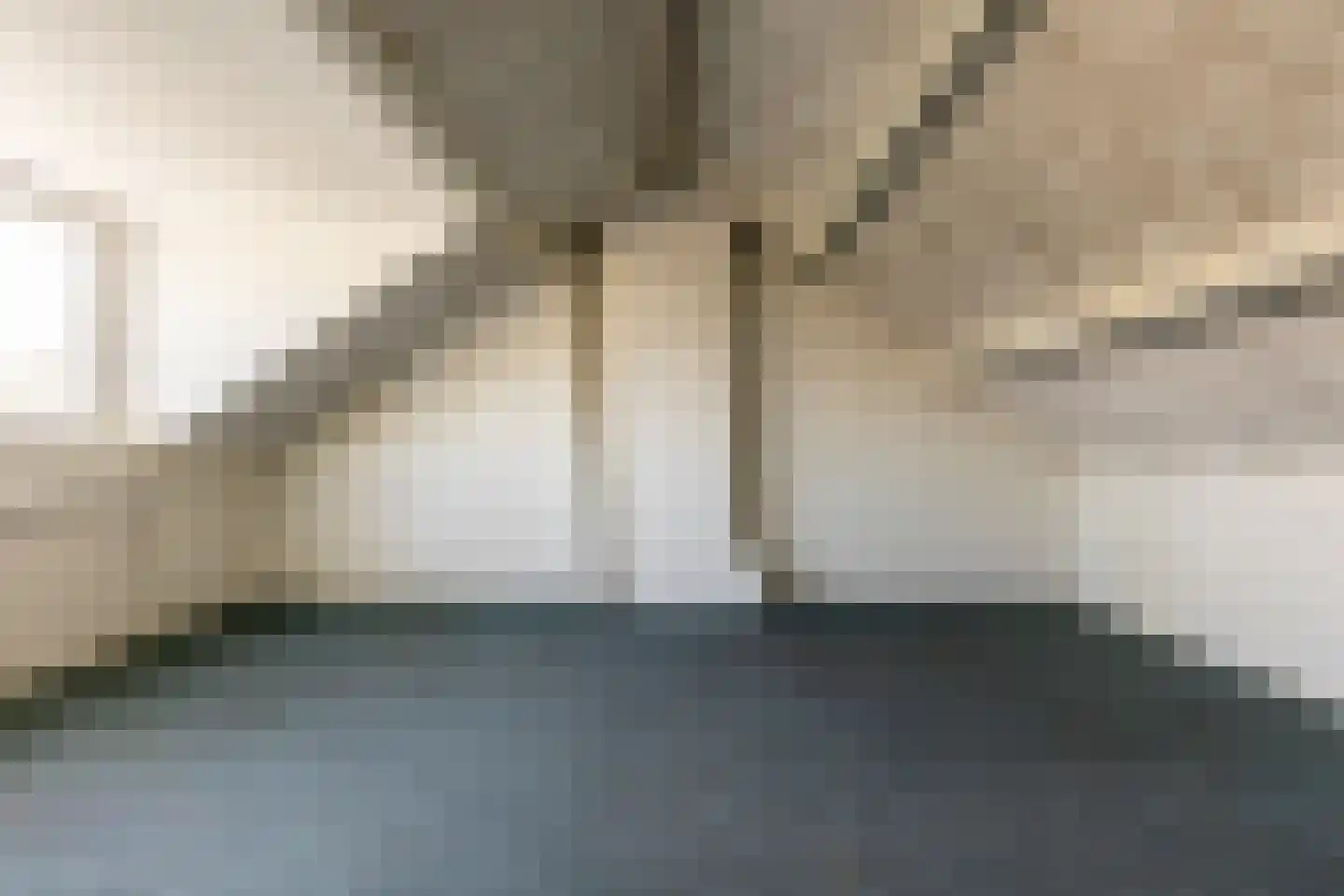 Overste den Oudenstraat 17 Schoonhoven thumbnail 28