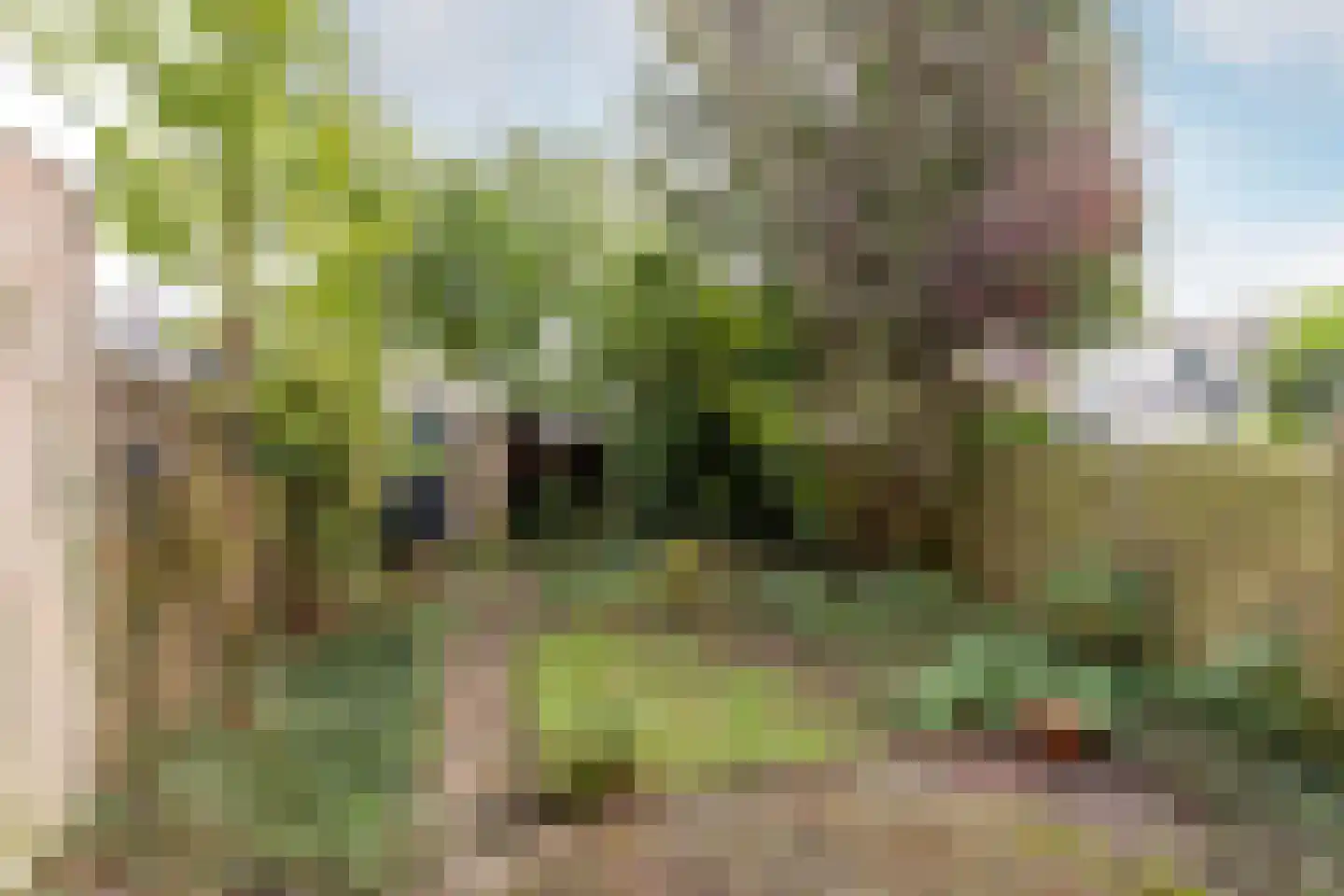 Overste den Oudenstraat 17 Schoonhoven thumbnail 32