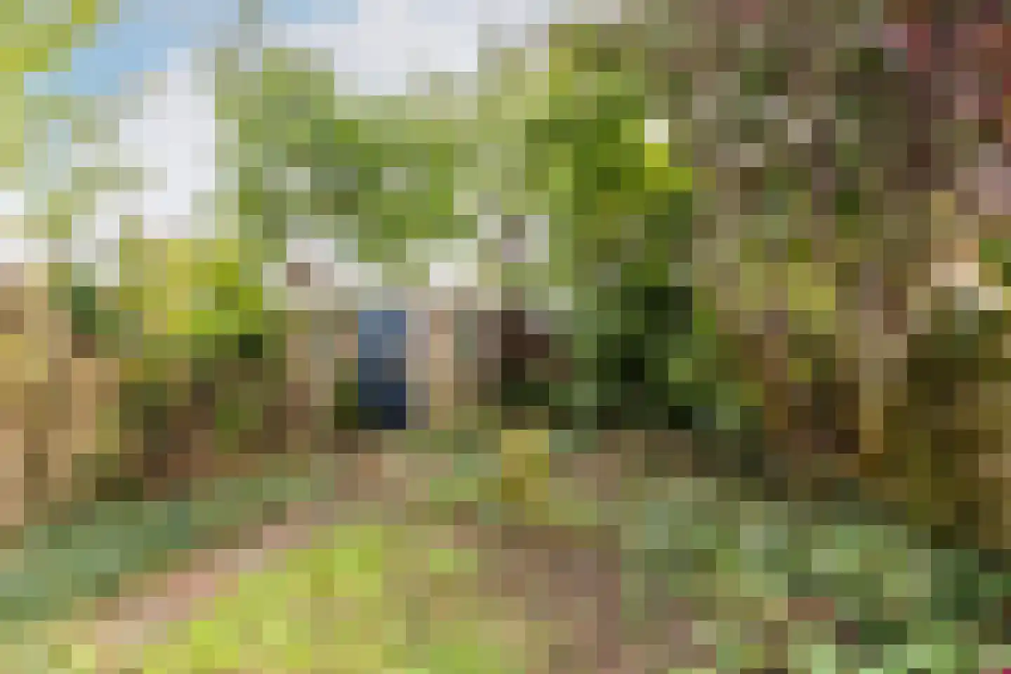 Overste den Oudenstraat 17 Schoonhoven thumbnail 33