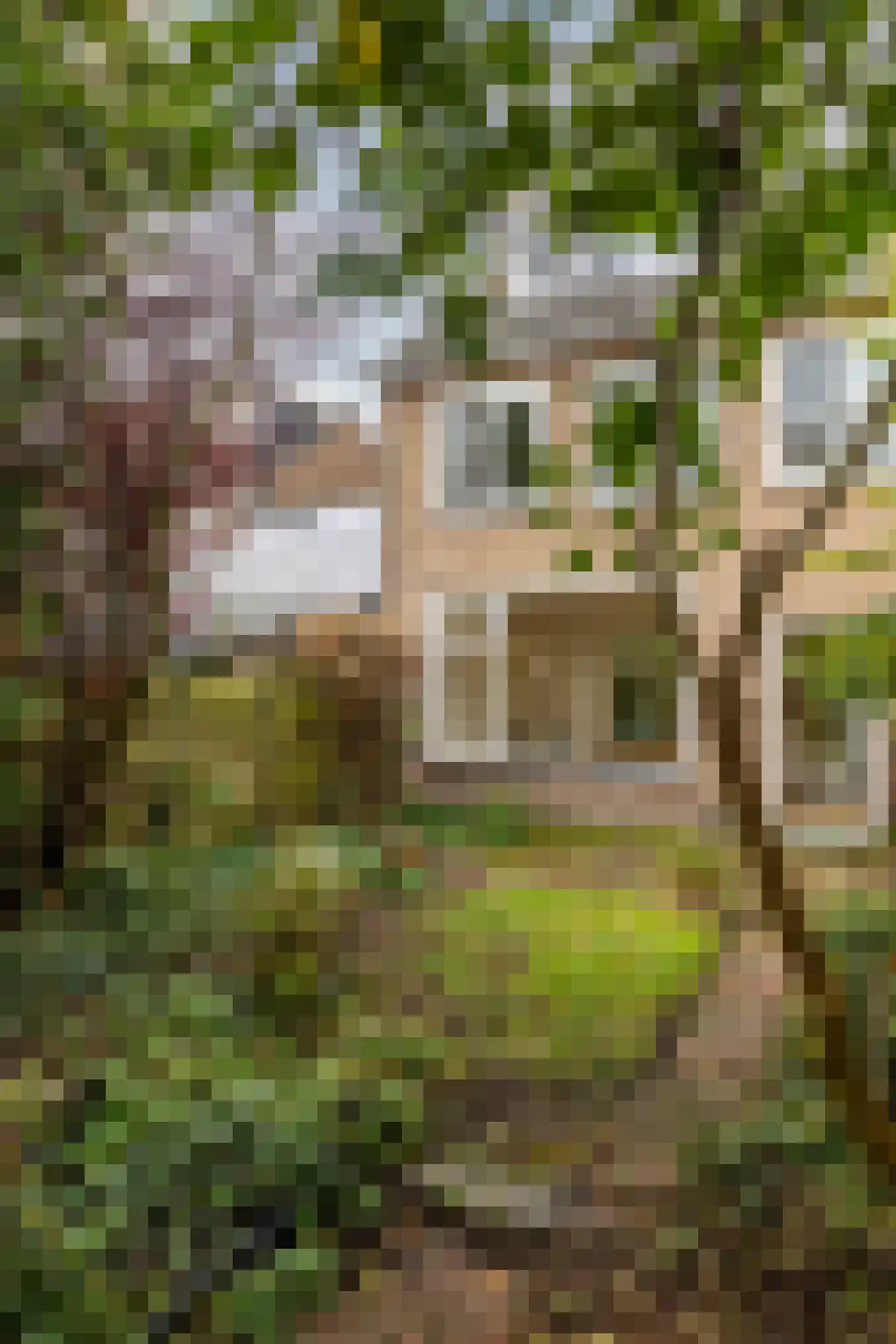 Overste den Oudenstraat 17 Schoonhoven thumbnail 34