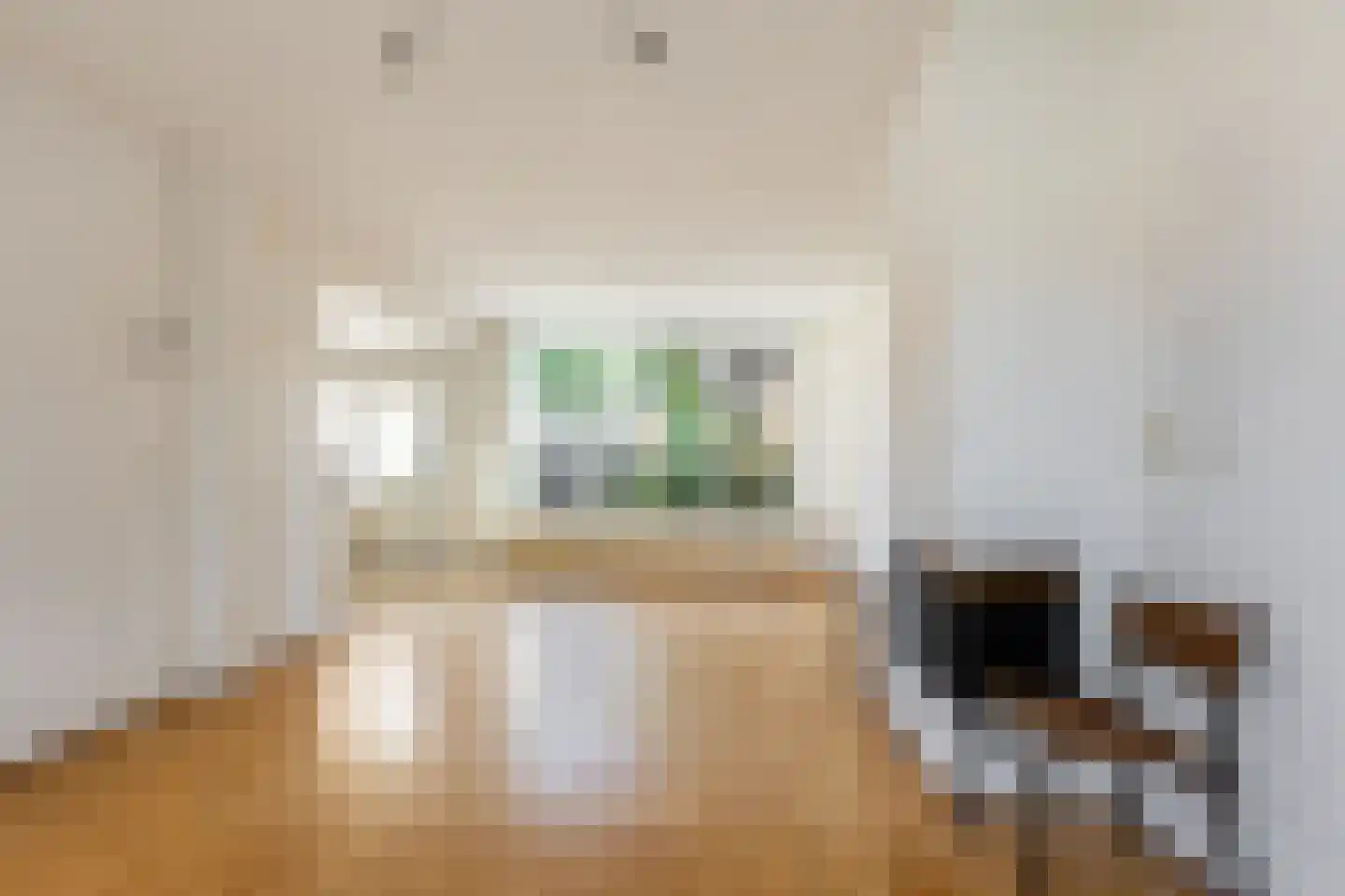 Overste den Oudenstraat 17 Schoonhoven thumbnail 8