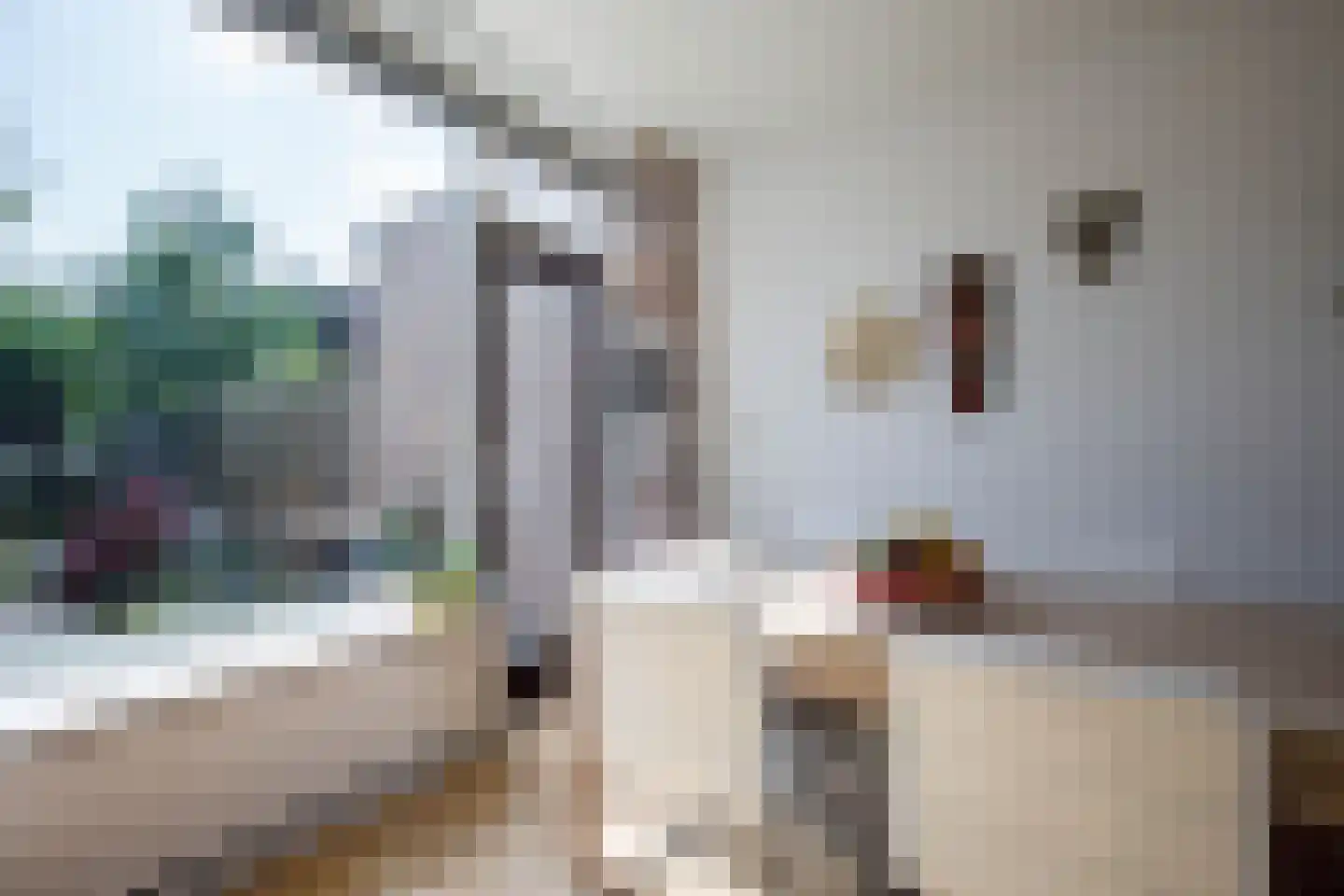 Overste den Oudenstraat 5 Schoonhoven thumbnail 11