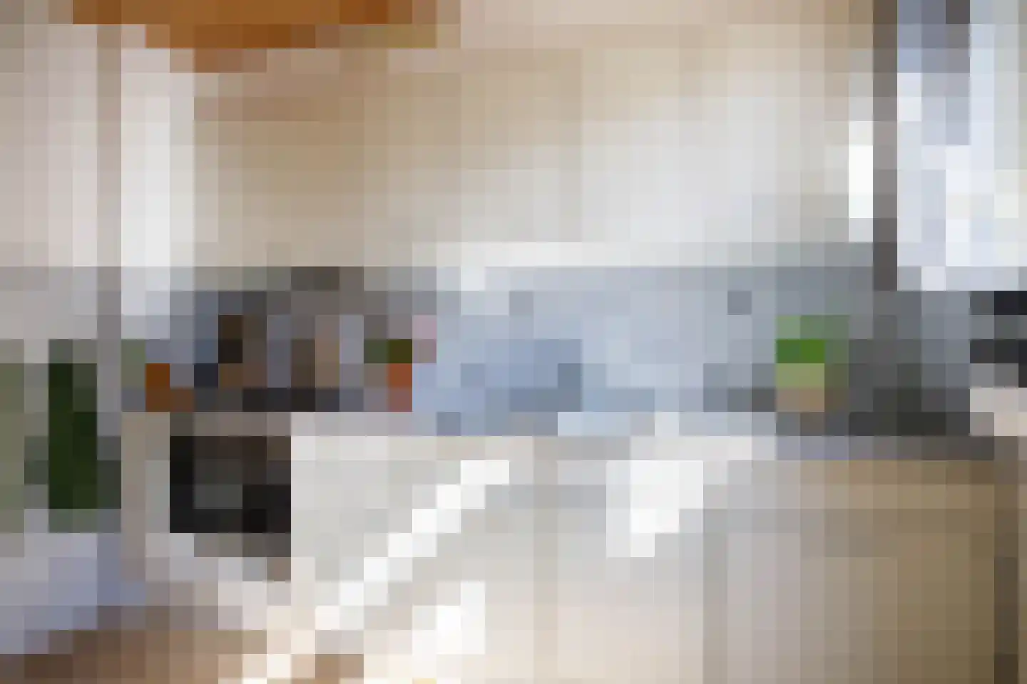 Overste den Oudenstraat 5 Schoonhoven thumbnail 13