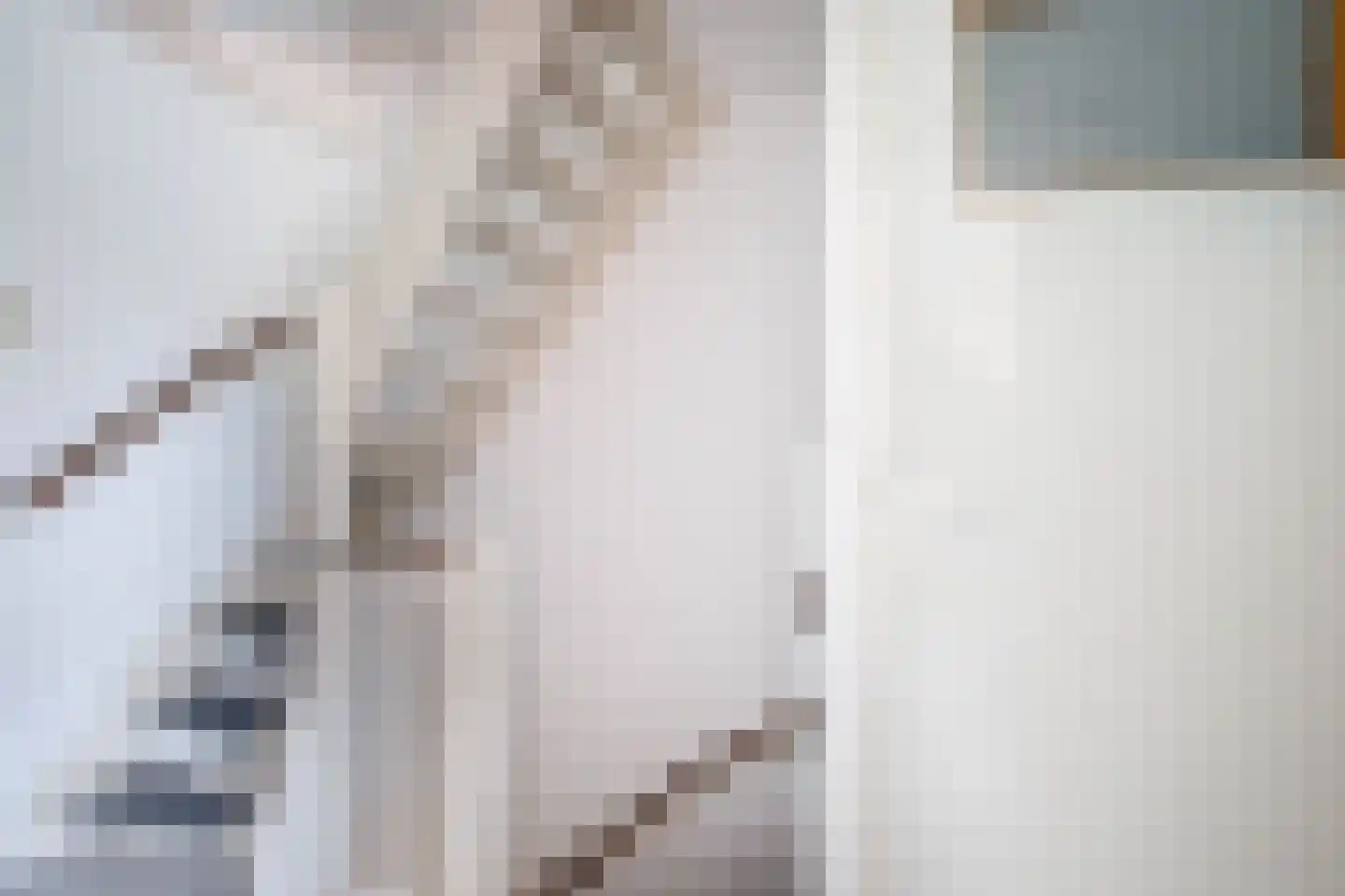 Overste den Oudenstraat 5 Schoonhoven thumbnail 21