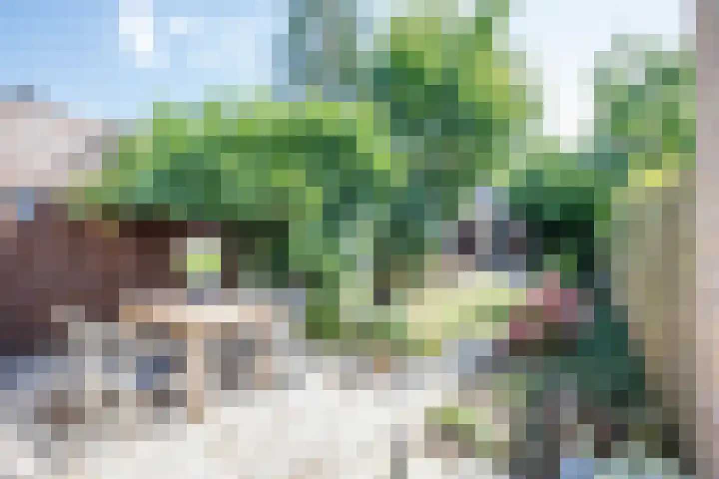 Overste den Oudenstraat 5 Schoonhoven thumbnail 27
