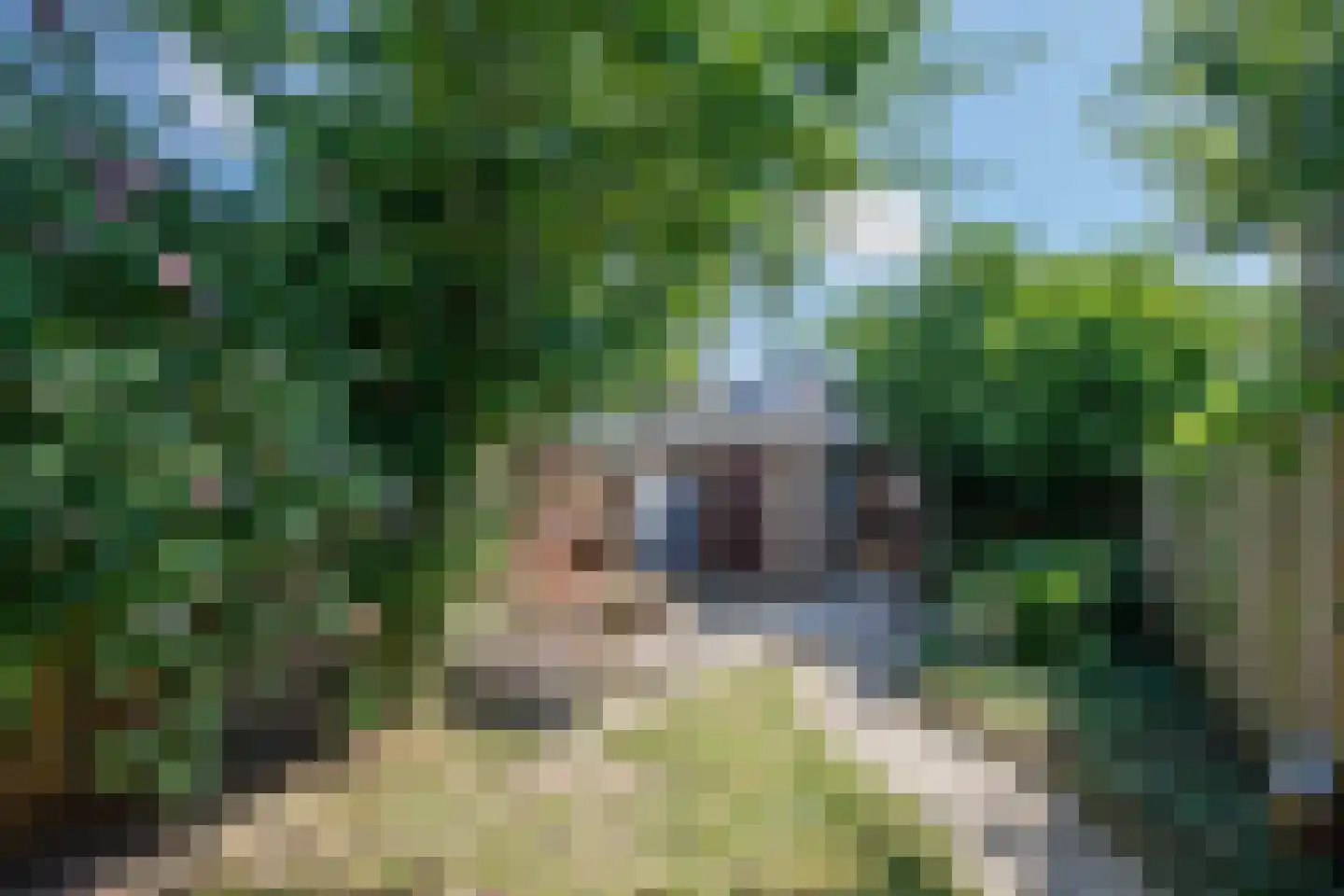 Overste den Oudenstraat 5 Schoonhoven thumbnail 28