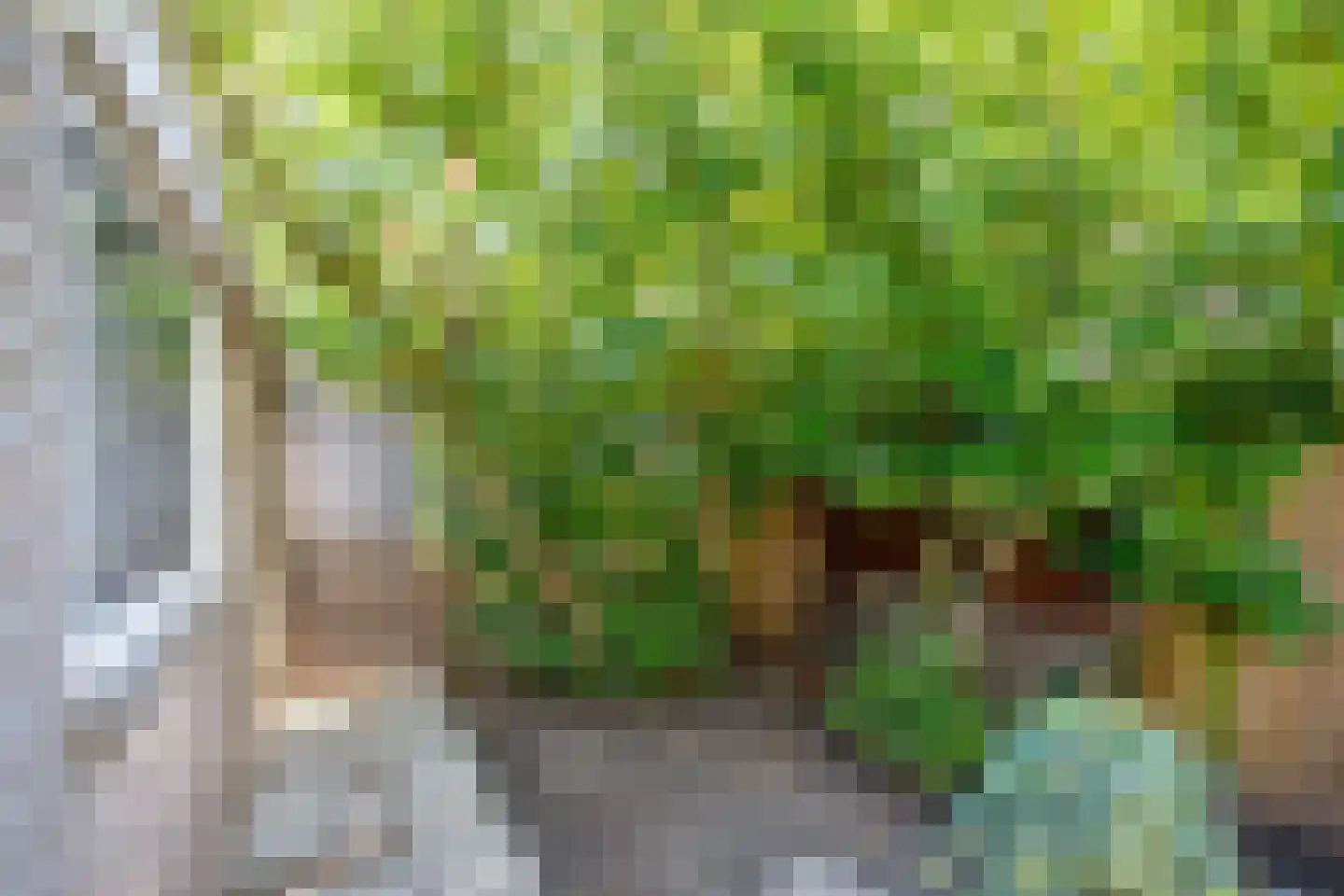 Overste den Oudenstraat 5 Schoonhoven thumbnail 30