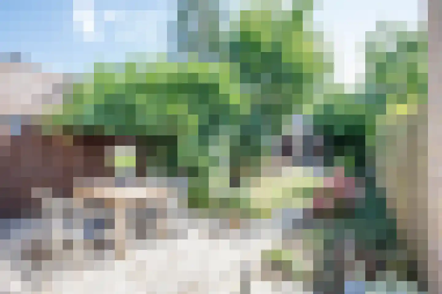 Overste den Oudenstraat 5 Schoonhoven thumbnail 5