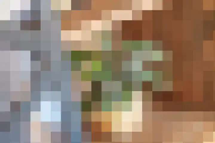 Overste J M Kolffstraat 147 Kesteren thumbnail 18