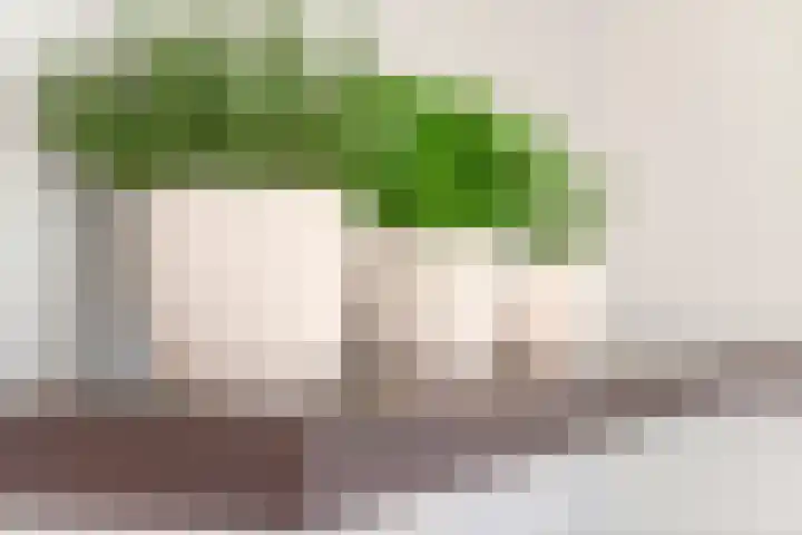 Overste J M Kolffstraat 147 Kesteren thumbnail 24