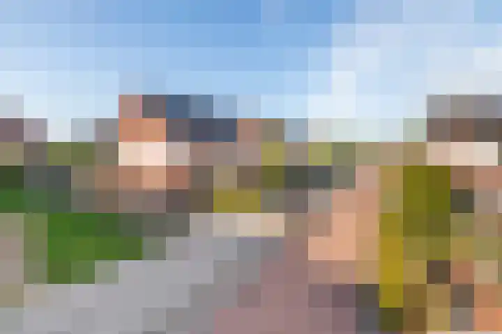 Overste J M Kolffstraat 147 Kesteren thumbnail 45