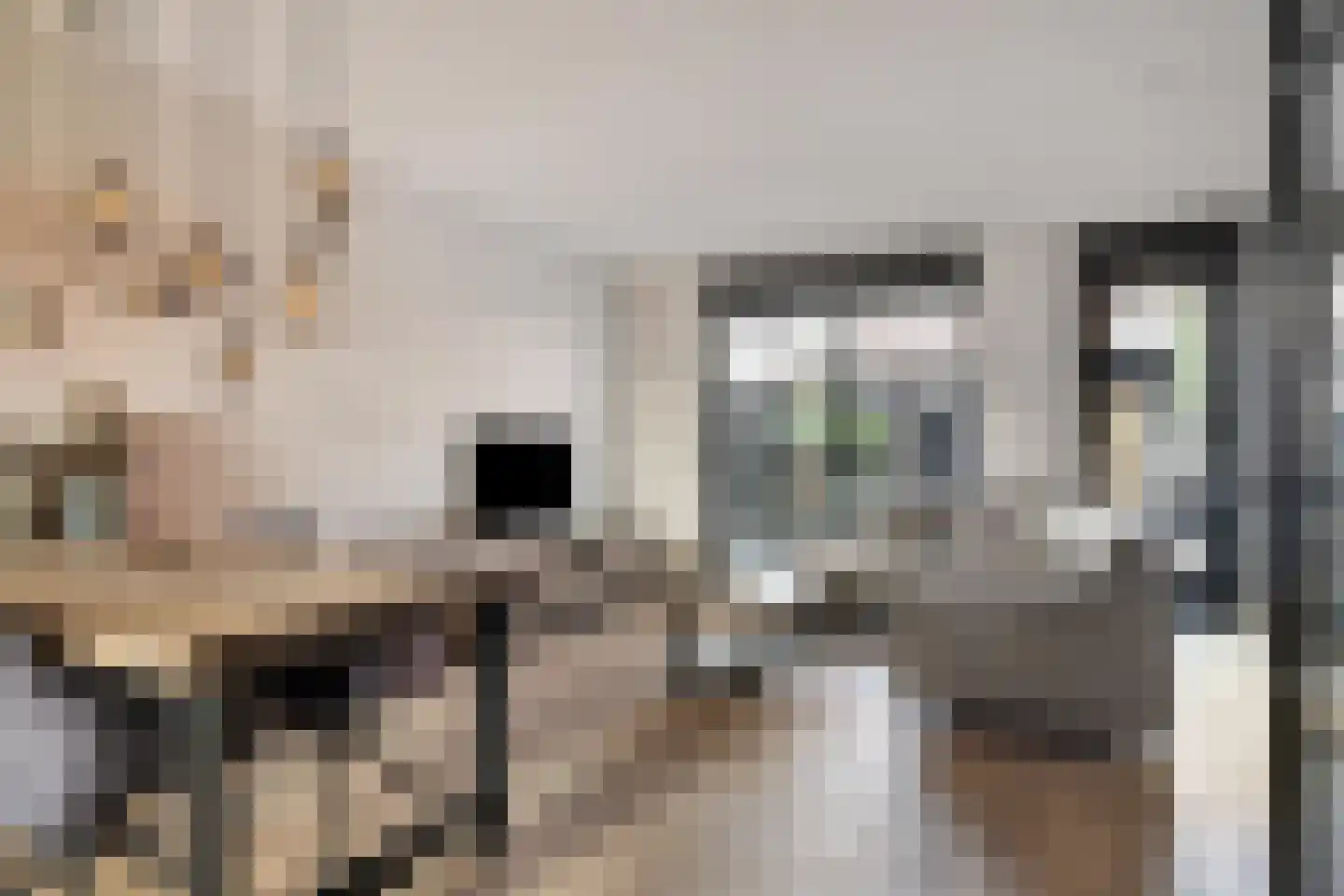 Overste J M Kolffstraat 6 Kesteren thumbnail 14