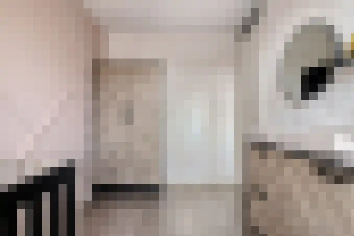 Overste J M Kolffstraat 6 Kesteren thumbnail 22