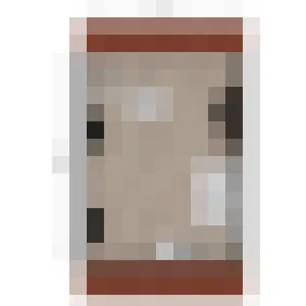 Overste J M Kolffstraat 6 Kesteren thumbnail 39