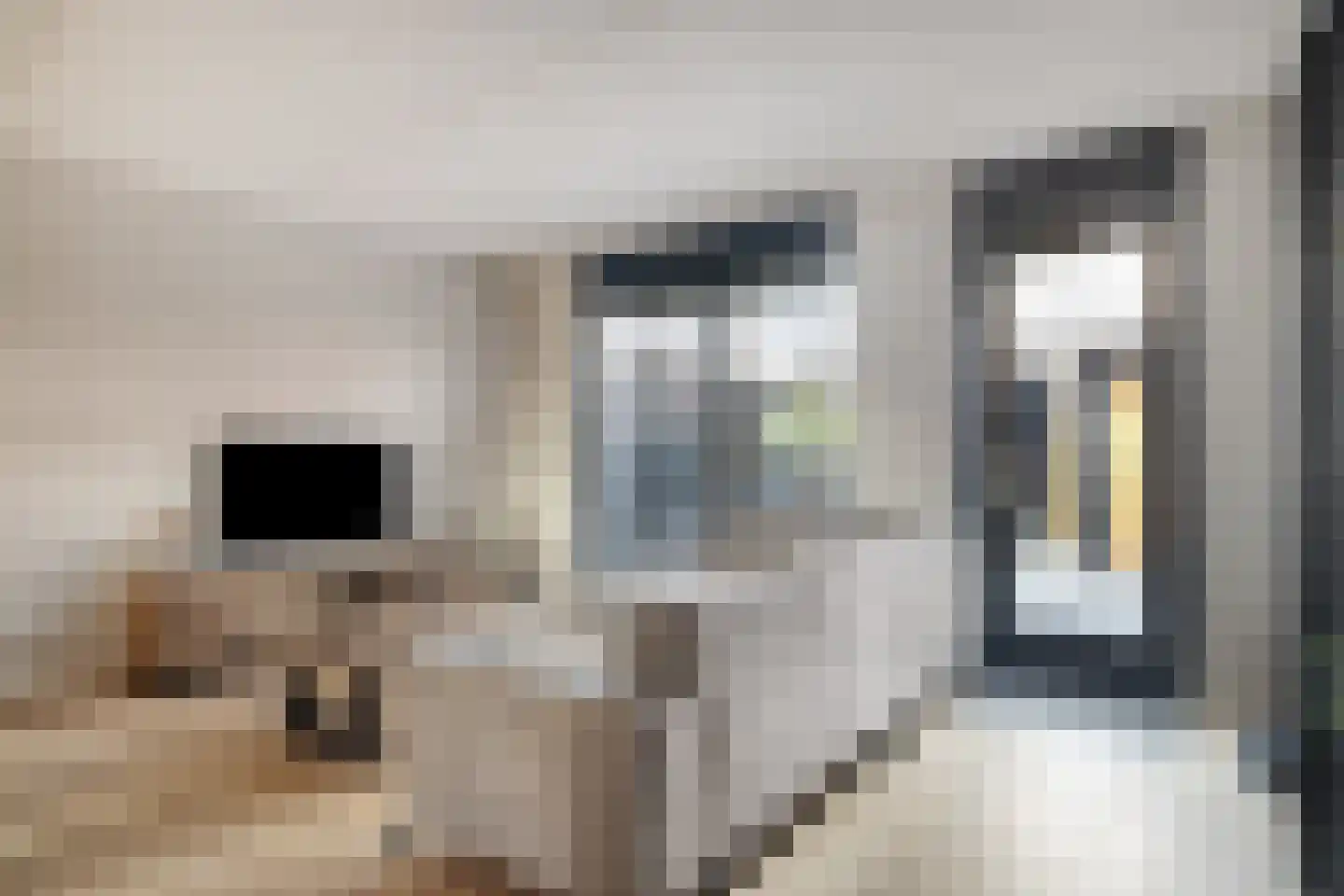Overste J M Kolffstraat 6 Kesteren thumbnail 4