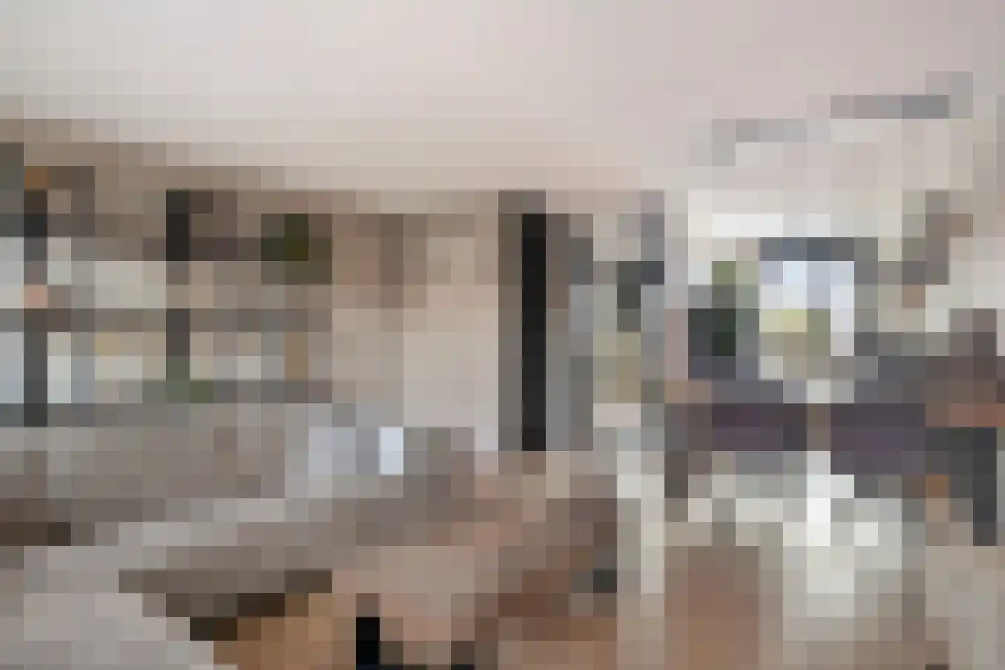Overste J M Kolffstraat 6 Kesteren thumbnail 6