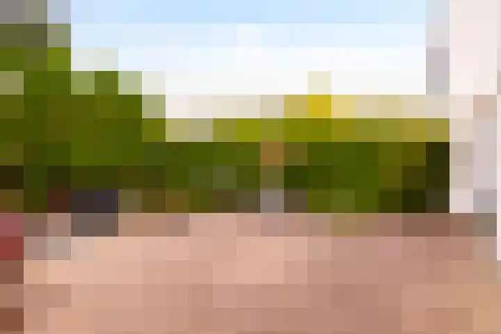 Overste Kamp 16 Elst thumbnail 36
