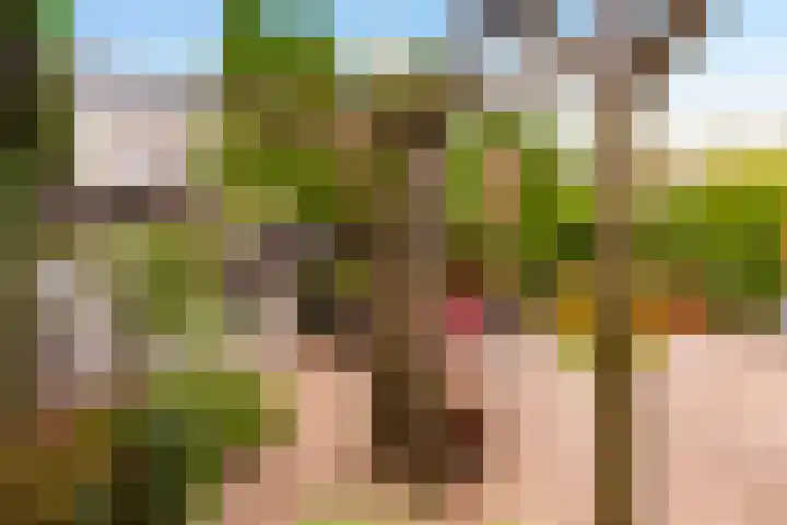 Overste Kamp 16 Elst thumbnail 37
