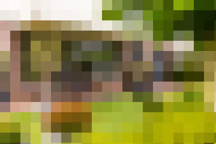 Overste Kamp 16 Elst thumbnail 7
