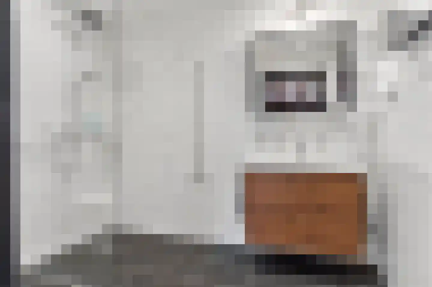 Oversteeg 4 a De Steeg thumbnail 19