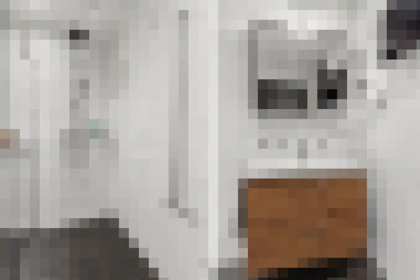 Oversteeg 4 a De Steeg thumbnail 20