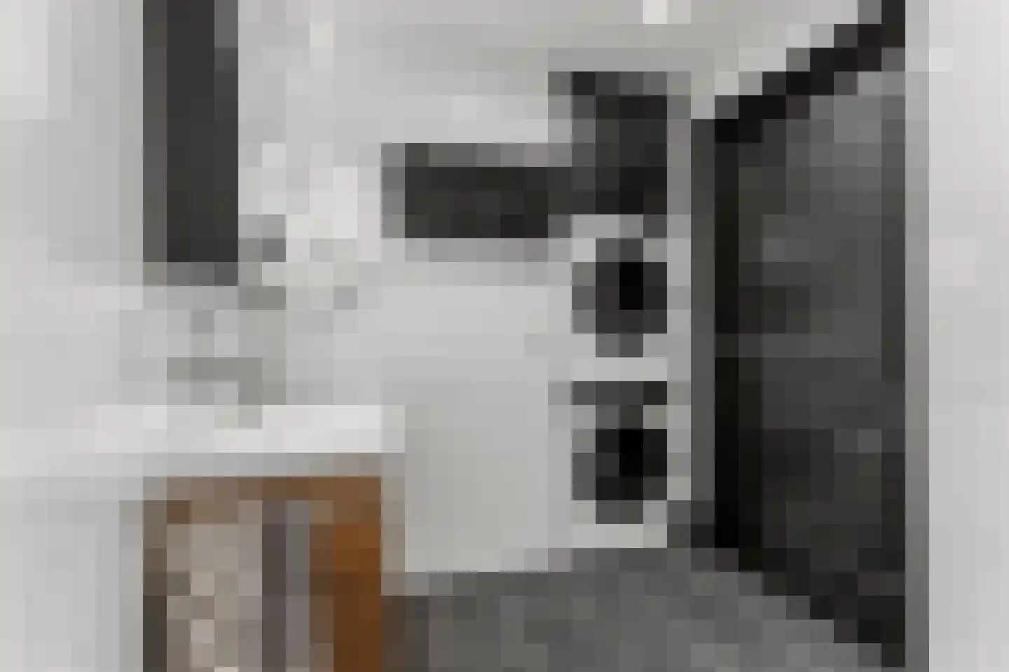 Oversteeg 4 a De Steeg thumbnail 22