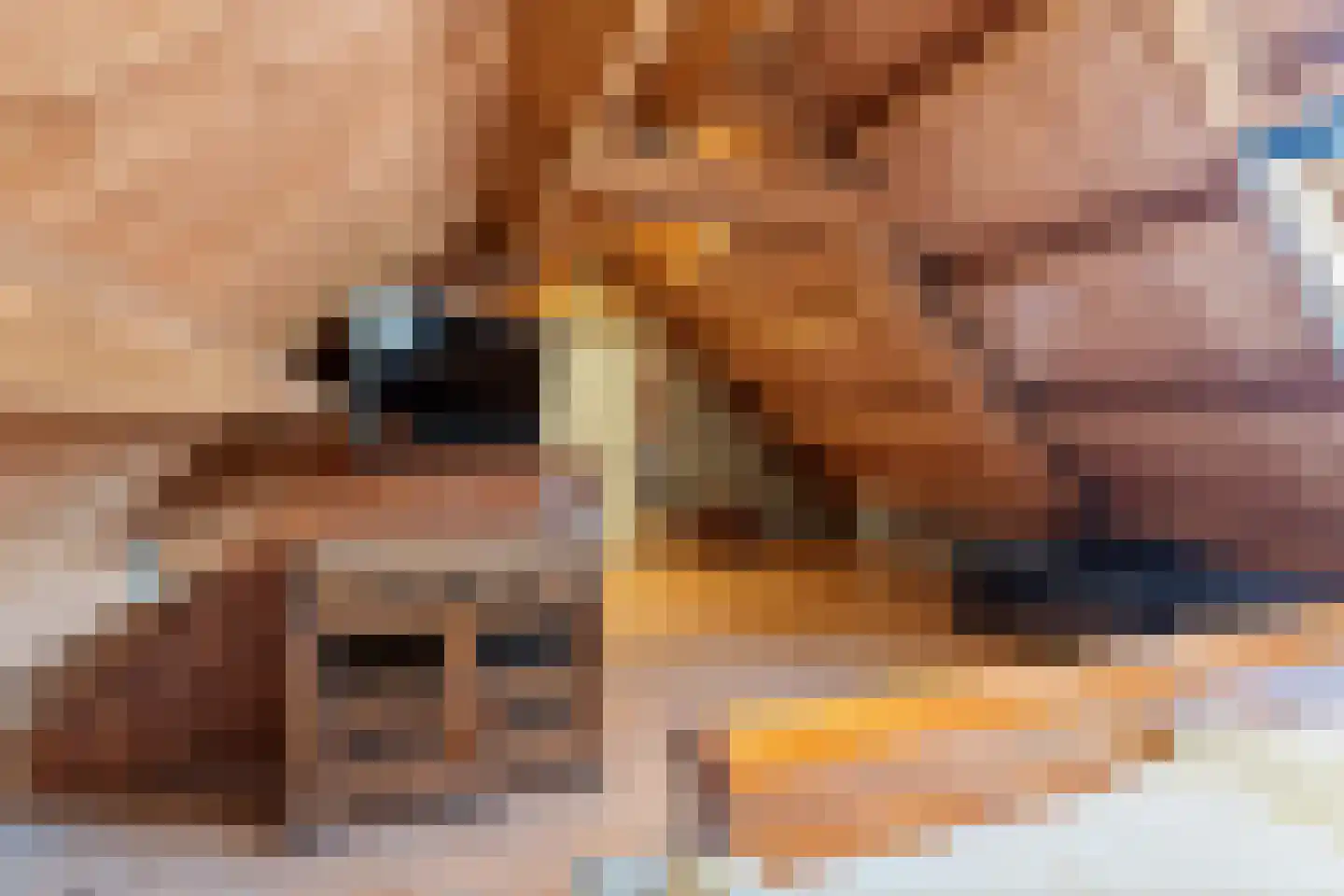 Oversteeg 4 a De Steeg thumbnail 24