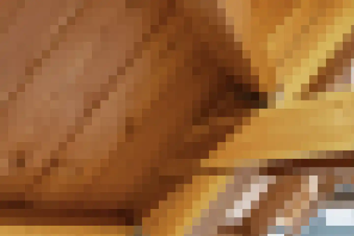 Oversteeg 4 a De Steeg thumbnail 25