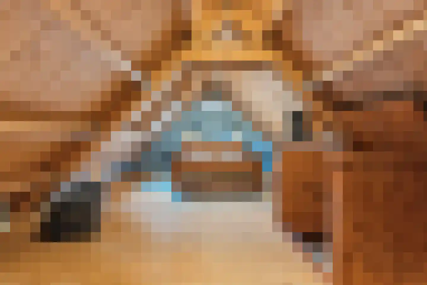 Oversteeg 4 a De Steeg thumbnail 26