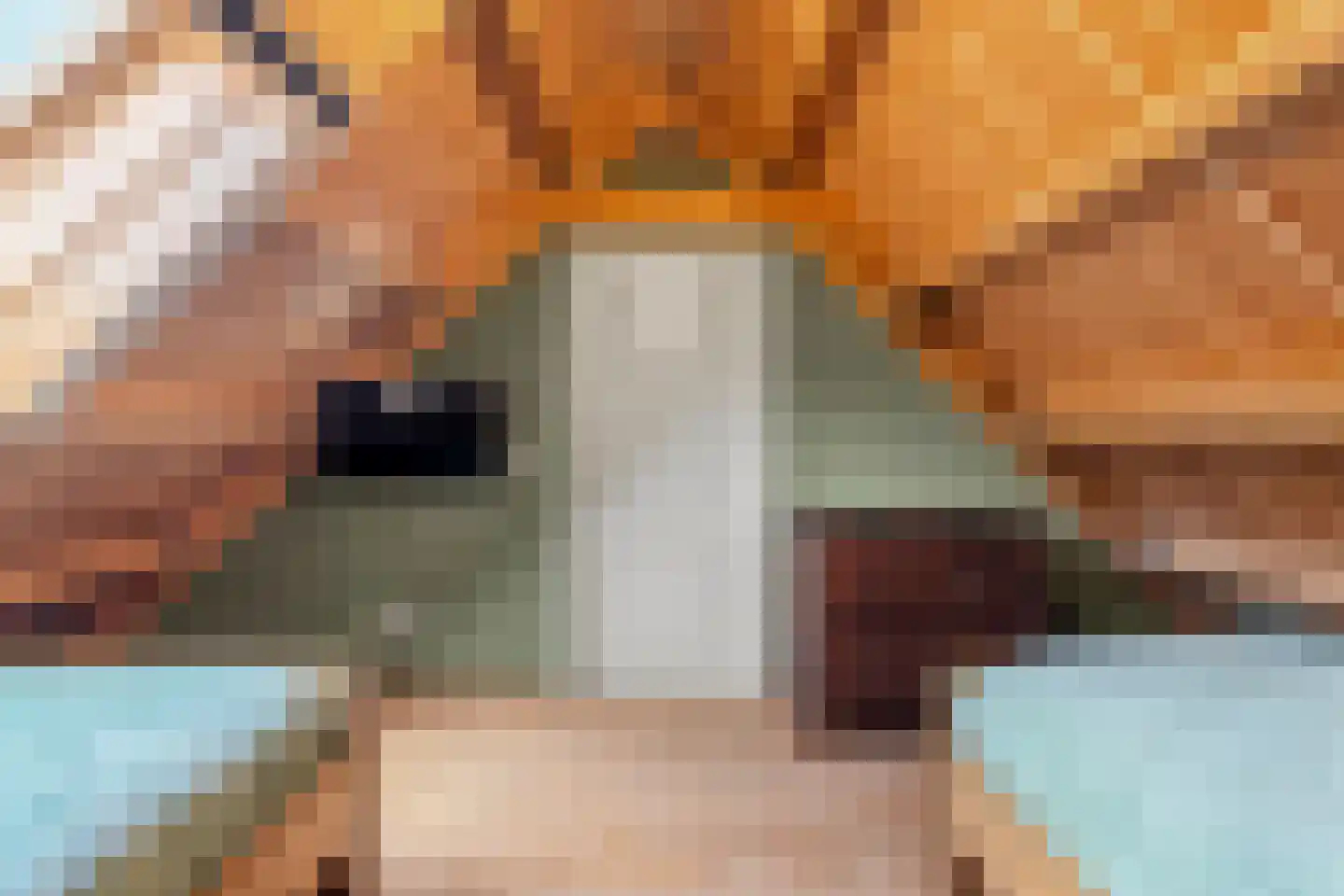 Oversteeg 4 a De Steeg thumbnail 31
