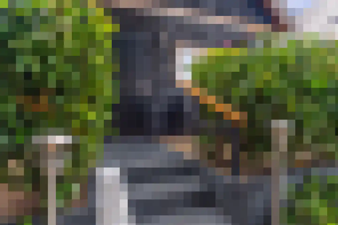 Oversteeg 4 a De Steeg thumbnail 7
