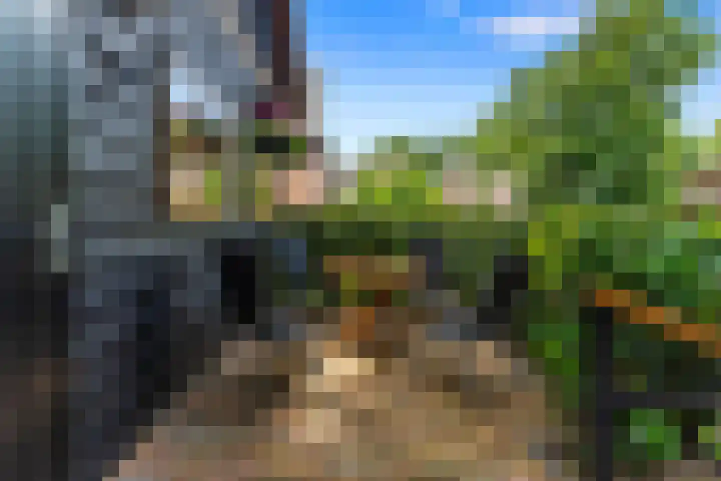 Oversteeg 4 a De Steeg thumbnail 8