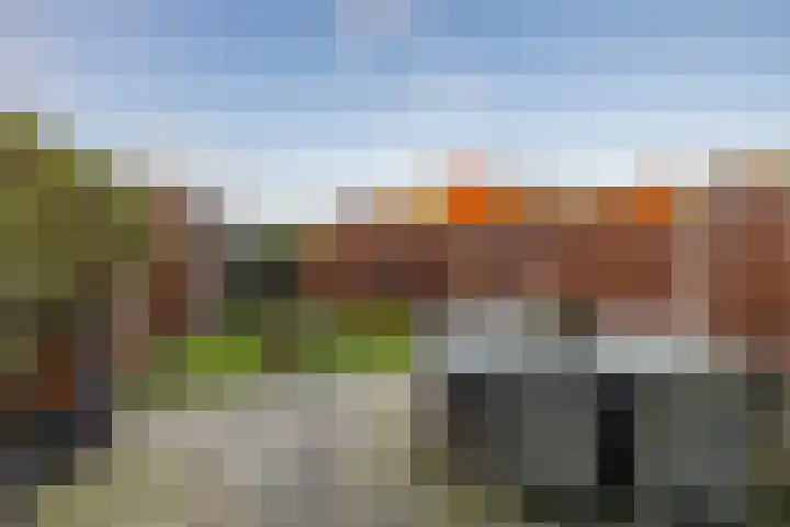 Oversteek 3 Ede thumbnail 26