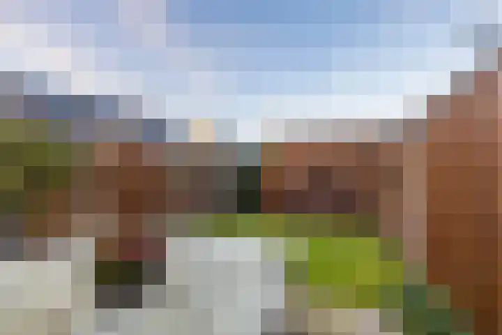Oversteek 3 Ede thumbnail 27
