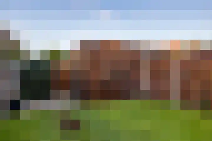 Oversteek 3 Ede thumbnail 28