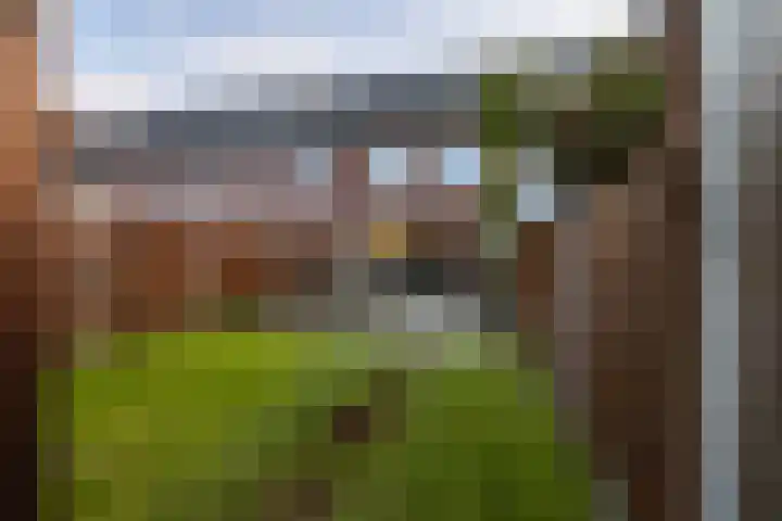 Oversteek 3 Ede thumbnail 29
