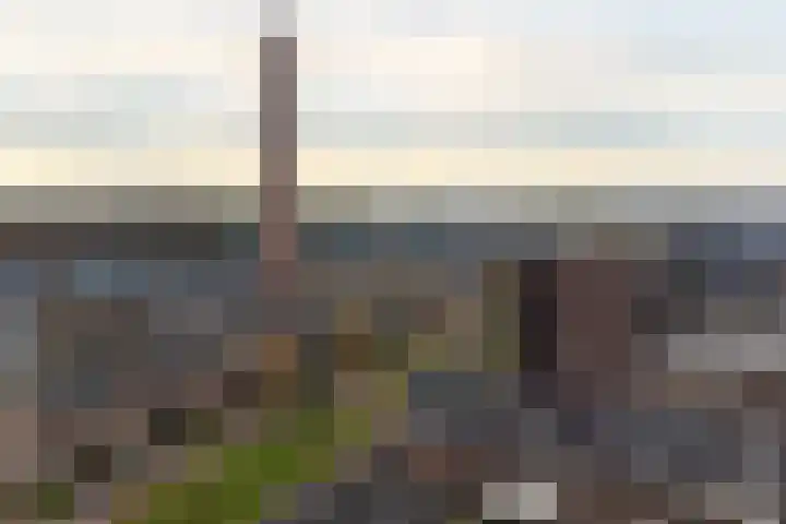 Oversteek 3 Ede thumbnail 31