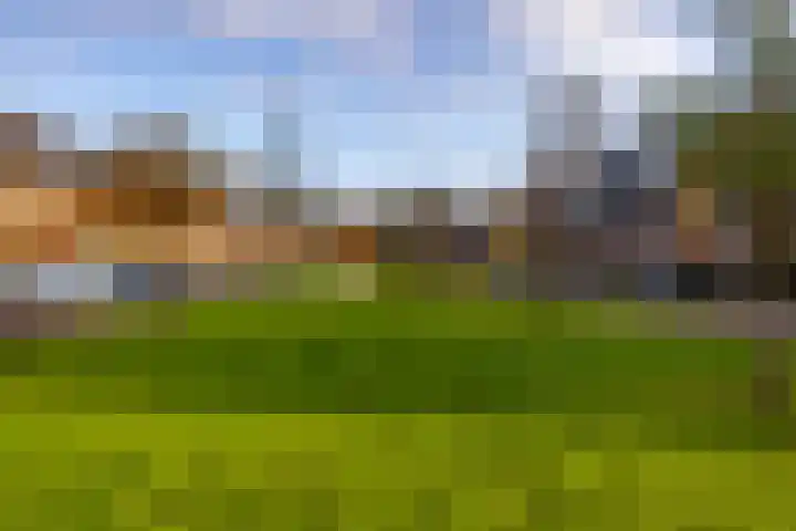 Oversteek 3 Ede thumbnail 33