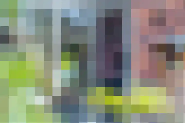 Oversteek 35 Ede thumbnail 36