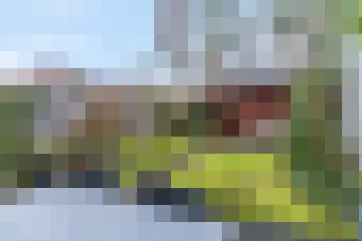 Oversteek 35 Ede thumbnail 37